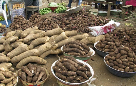 different types of yams in Yoruba land