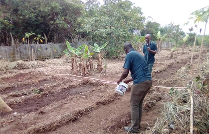 yoruba farmer on the farm