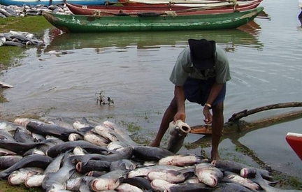 traditional fishing in nigeria