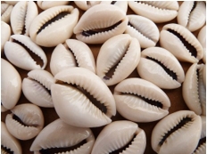 owo eyo cowries